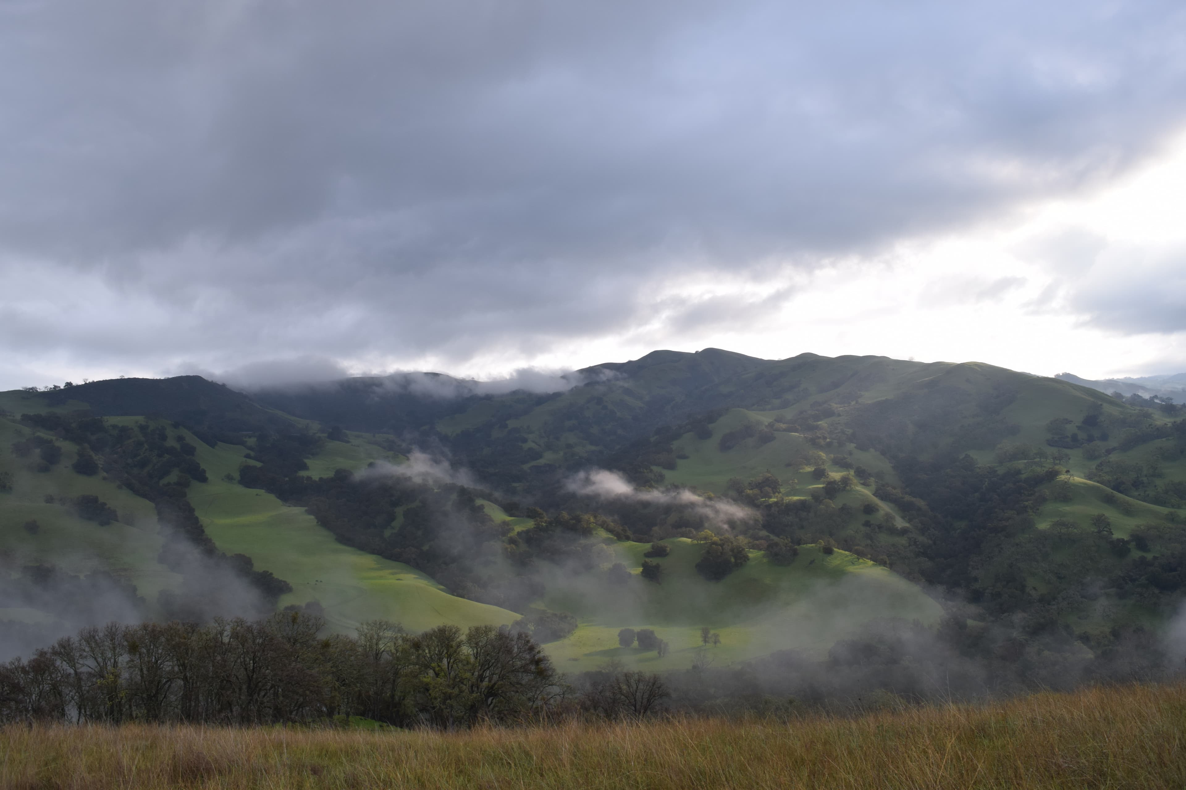 Hill with fog background